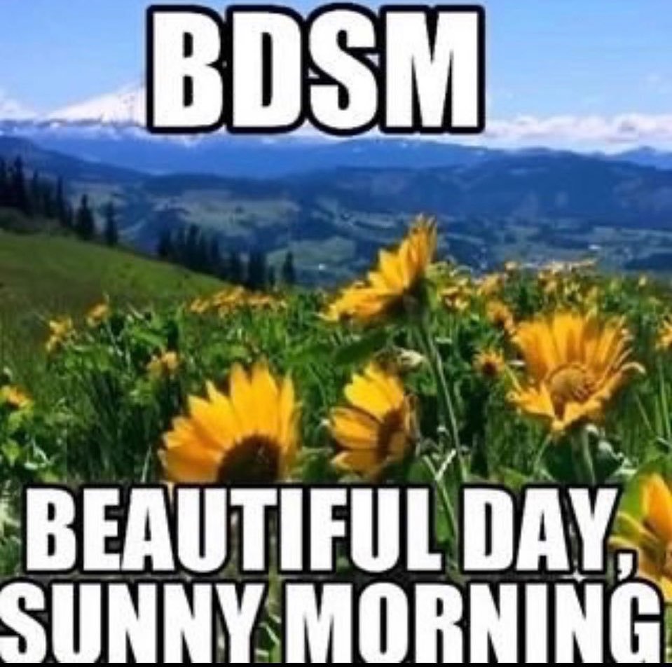 BDSM BEAUTIFUL DAY. SUNNY...