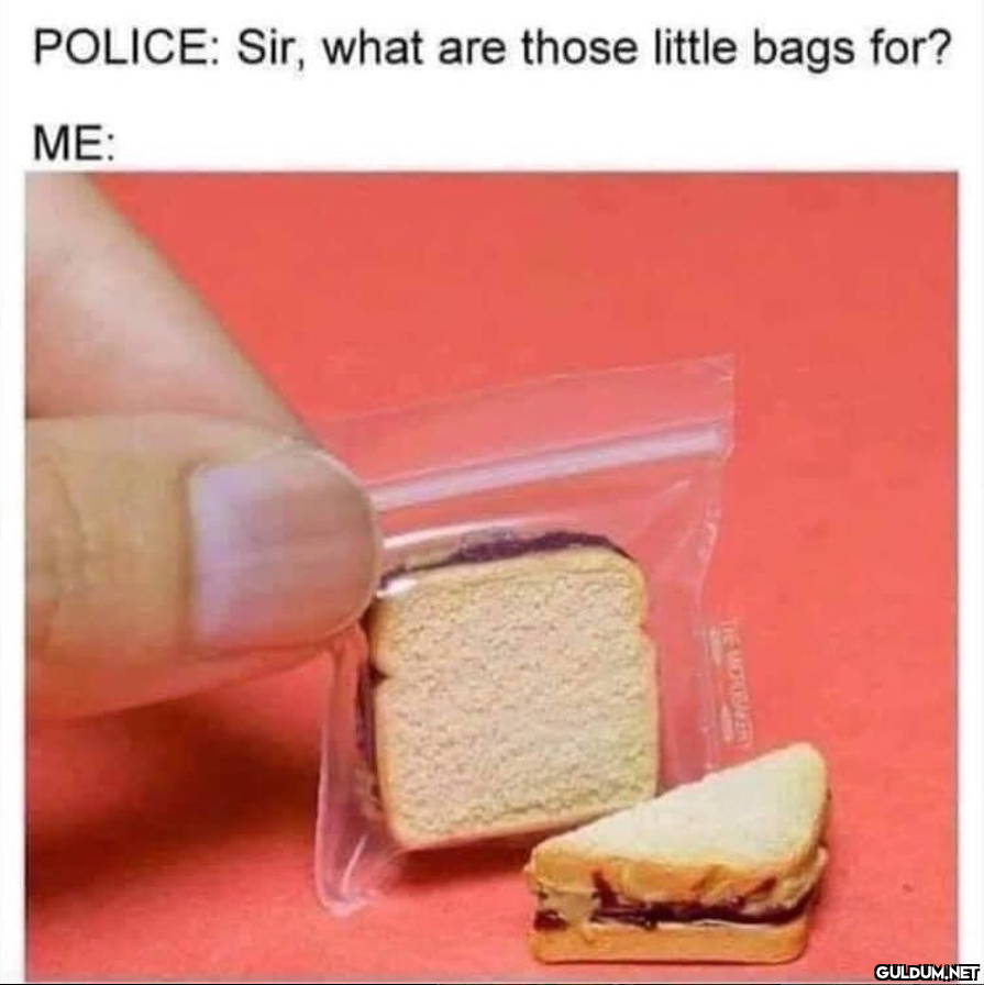 POLICE: Sir, what are...