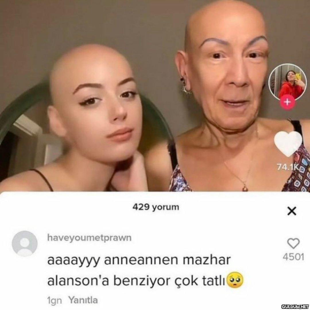 haveyoumetprawn 429 yorum...