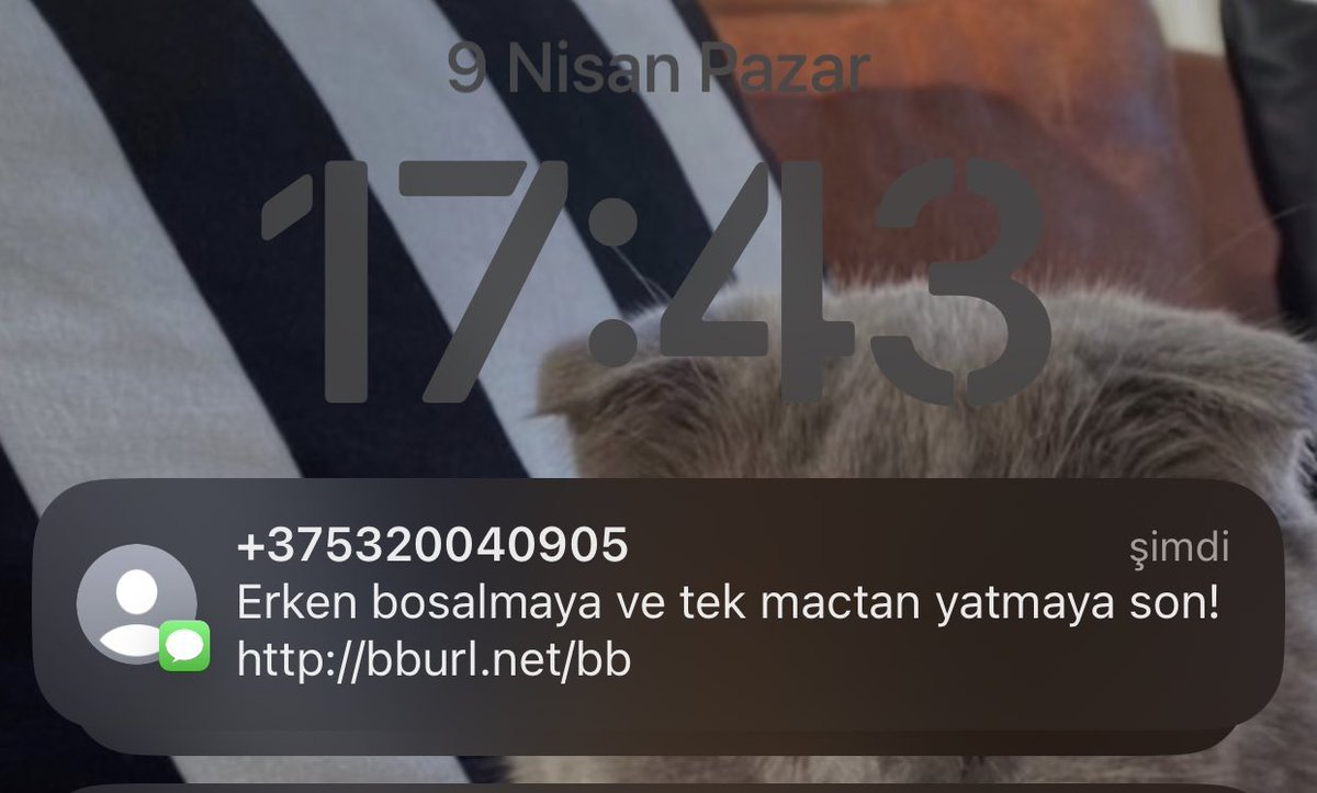 ? https://t.co/clSKKQlWSe ...