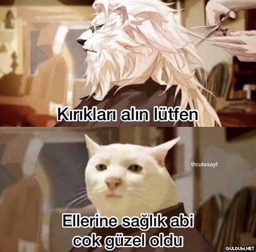 Kırıkları alın lütfen...