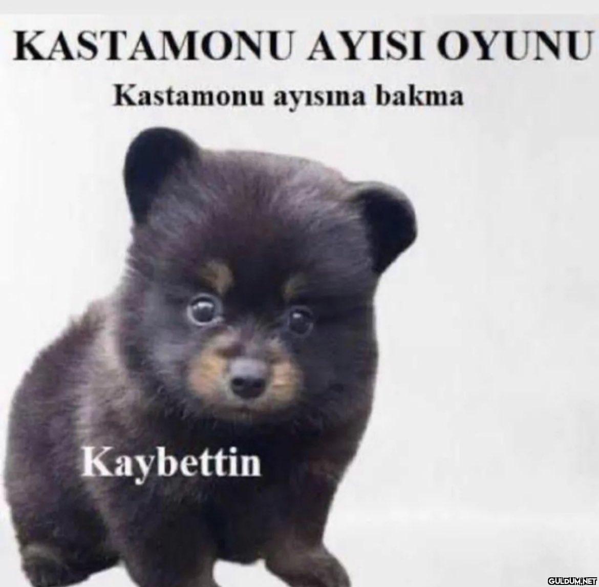 KASTAMONU AYISI OYUNU...