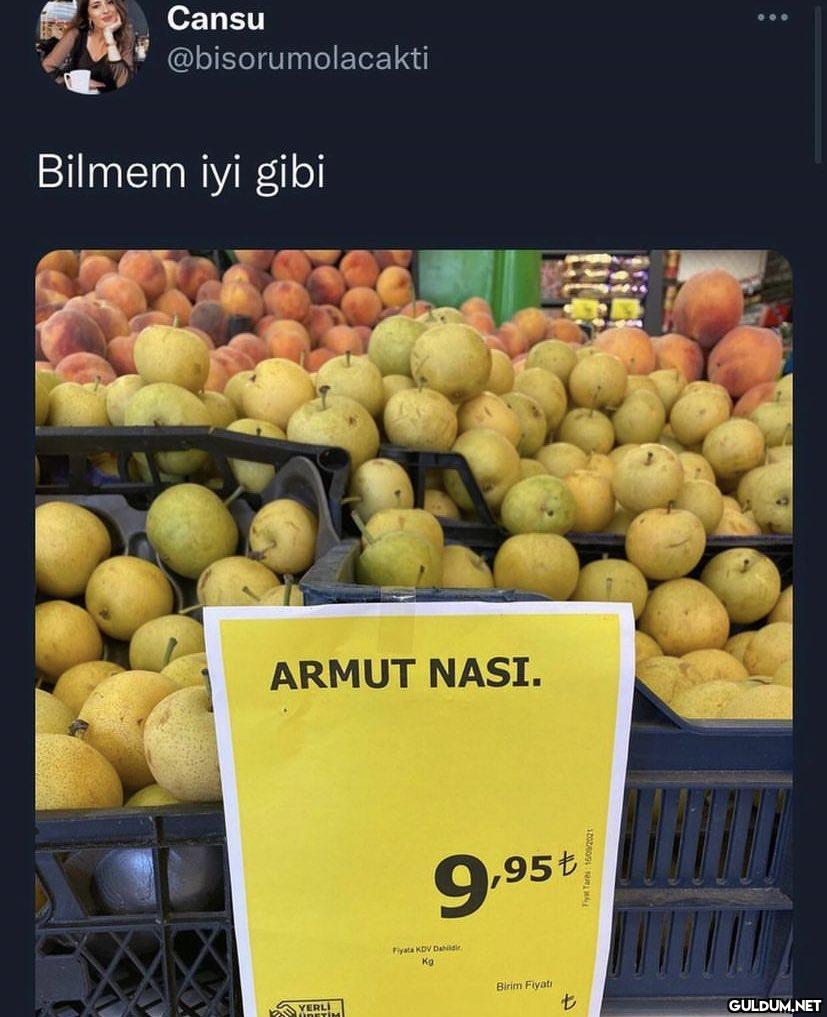 Cansu @bisorumolacakti...