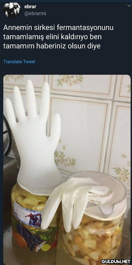 SHHDHXHSHXH...