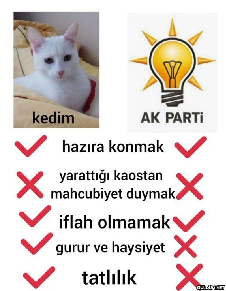 kedim >>>> AK PARTİ hazıra...