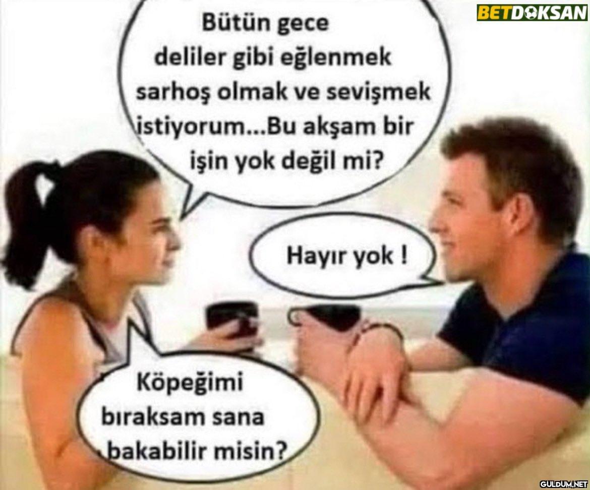 Bütün gece deliler gibi...
