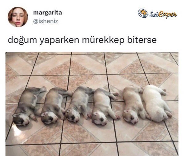 https://t.co/mN32dPNEa5  ...