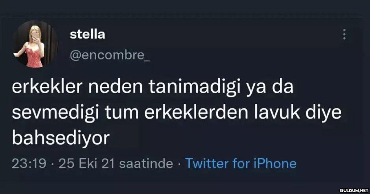 stella : @encombre_...
