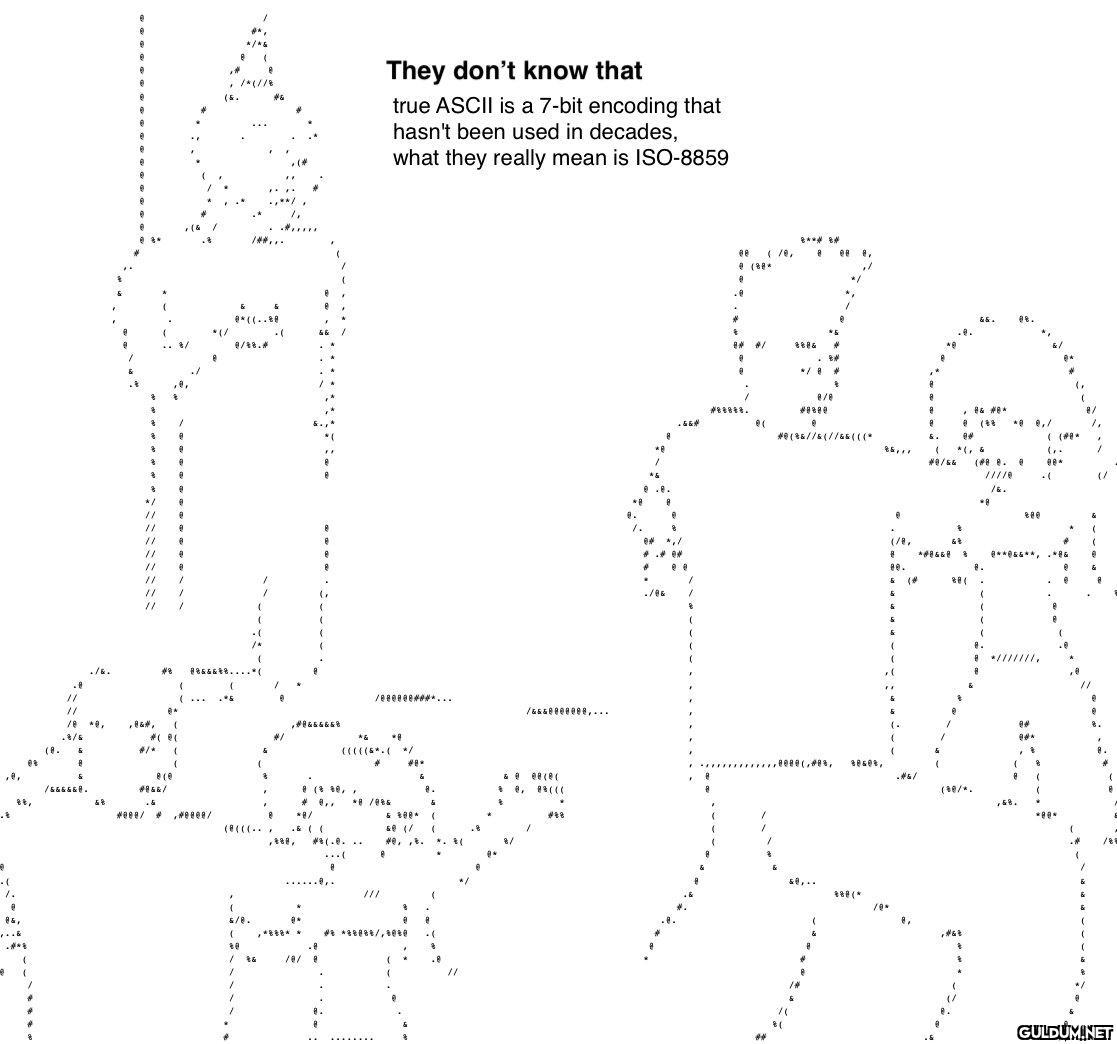 Me at an ASCII party...