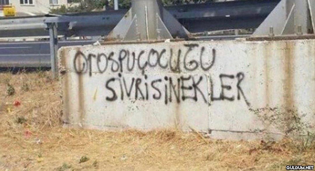 Orospuçocugu SIVRISINEKLER   Kaynak