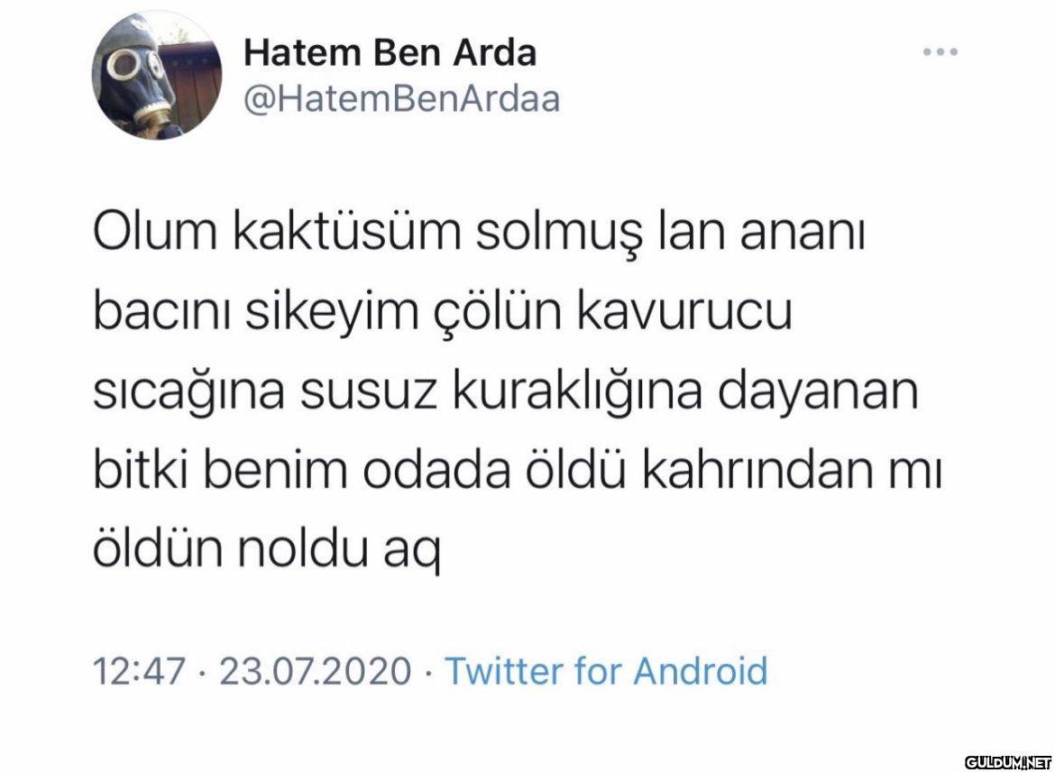 Hatem Ben Arda @Hatem...