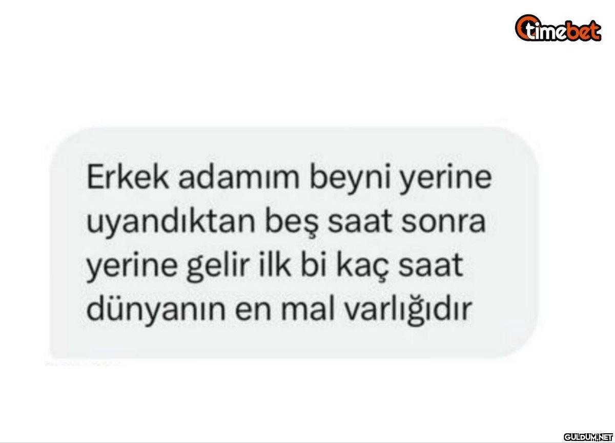 Erkek adamım beyni yerine...