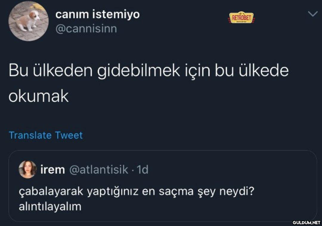 https://t.co/LijOy7YoBZ  ...