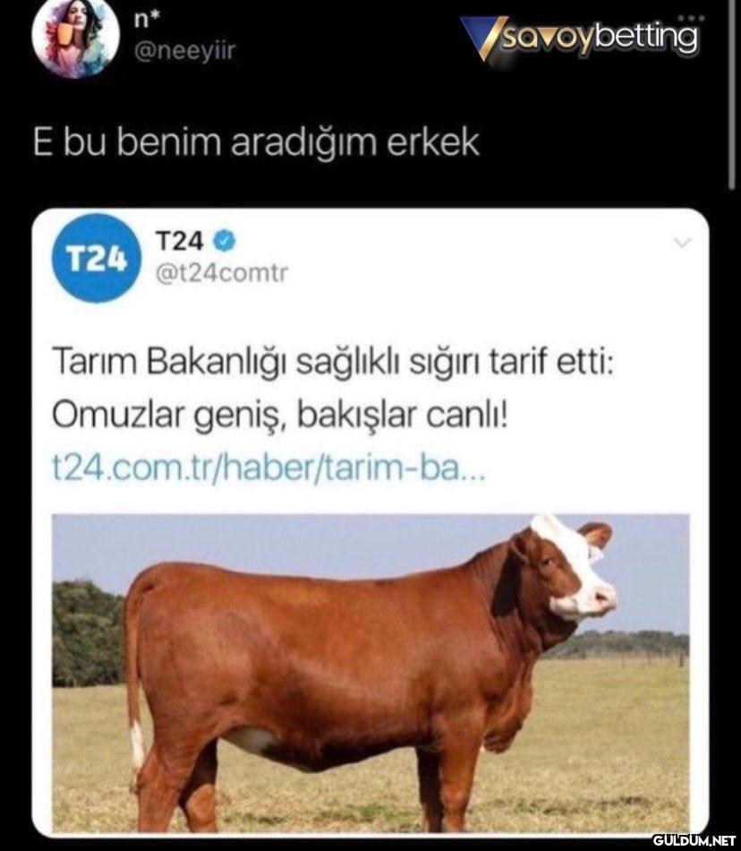 n* @neeyiir E bu benim...