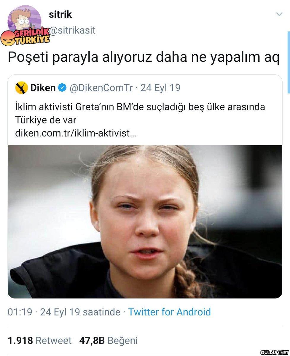 sitrik GERİLDİK@sitrikasit...