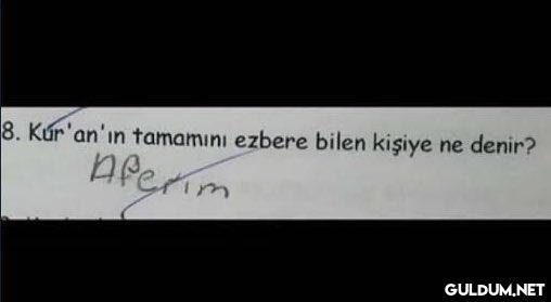 HAHAHAHAHNSJSJSJXHXJ...