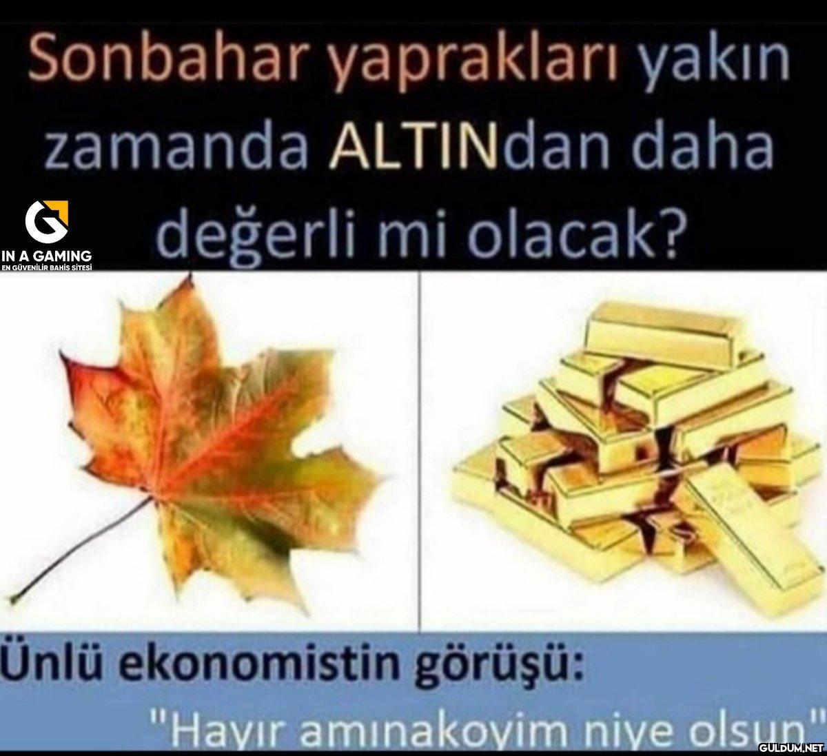 583-)...