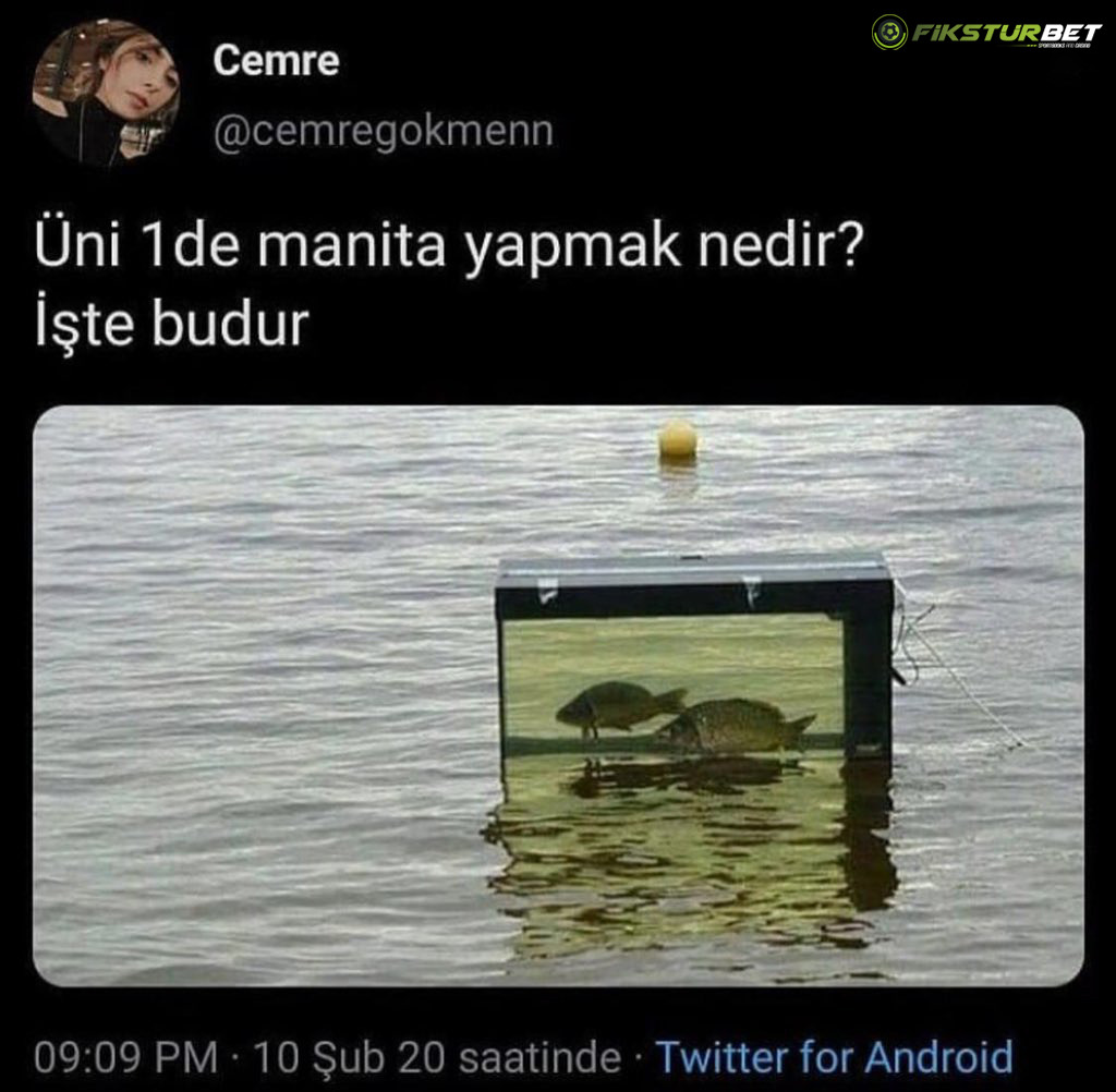 Cemre @cemregokmenn Üni 1...