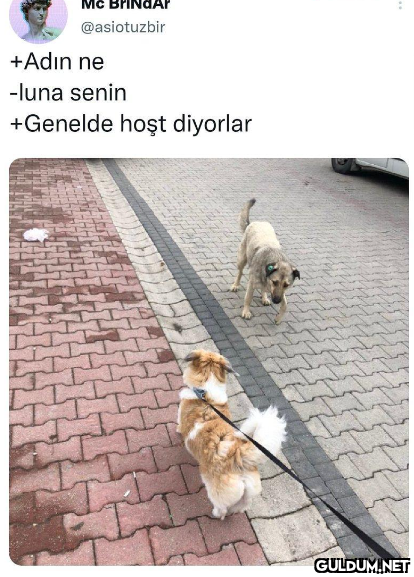 Mc Brind @asiotuzbir +Adın...