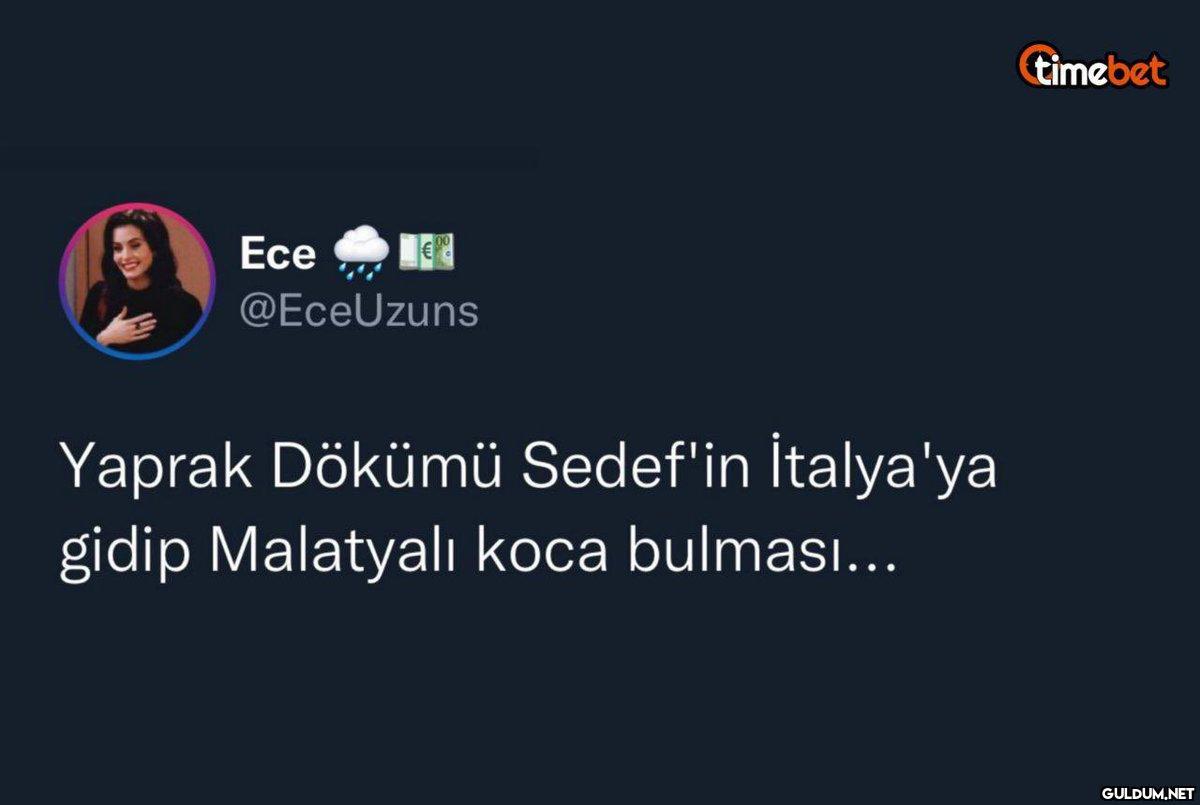 Ece C @EceUzuns Yaprak...