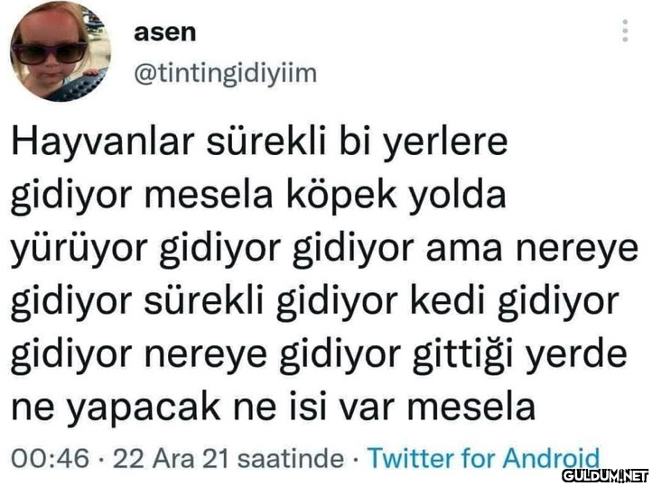 asen @tintingidiyiim...