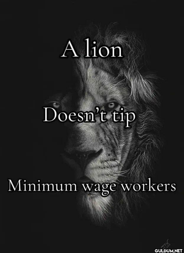A lion Doesn't tip Minimum...