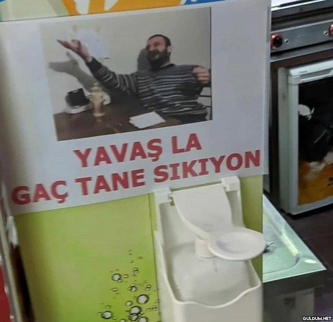 YAVAŞ LA GAÇ TANE SIKIYON   Kaynak