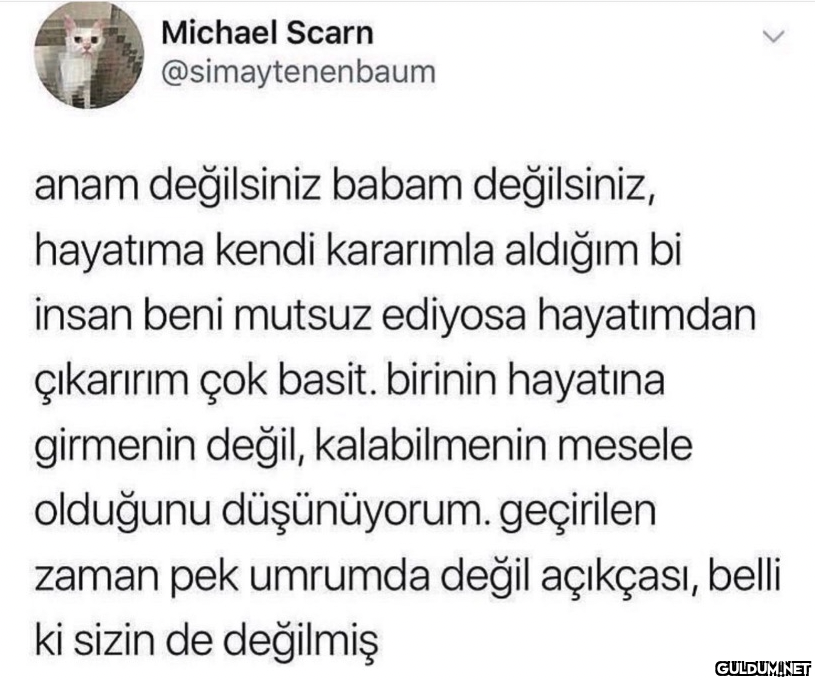 Michael Scarn...