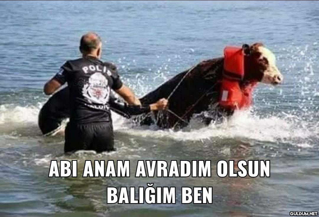 POLIS ABI ANAM AVRADIM...