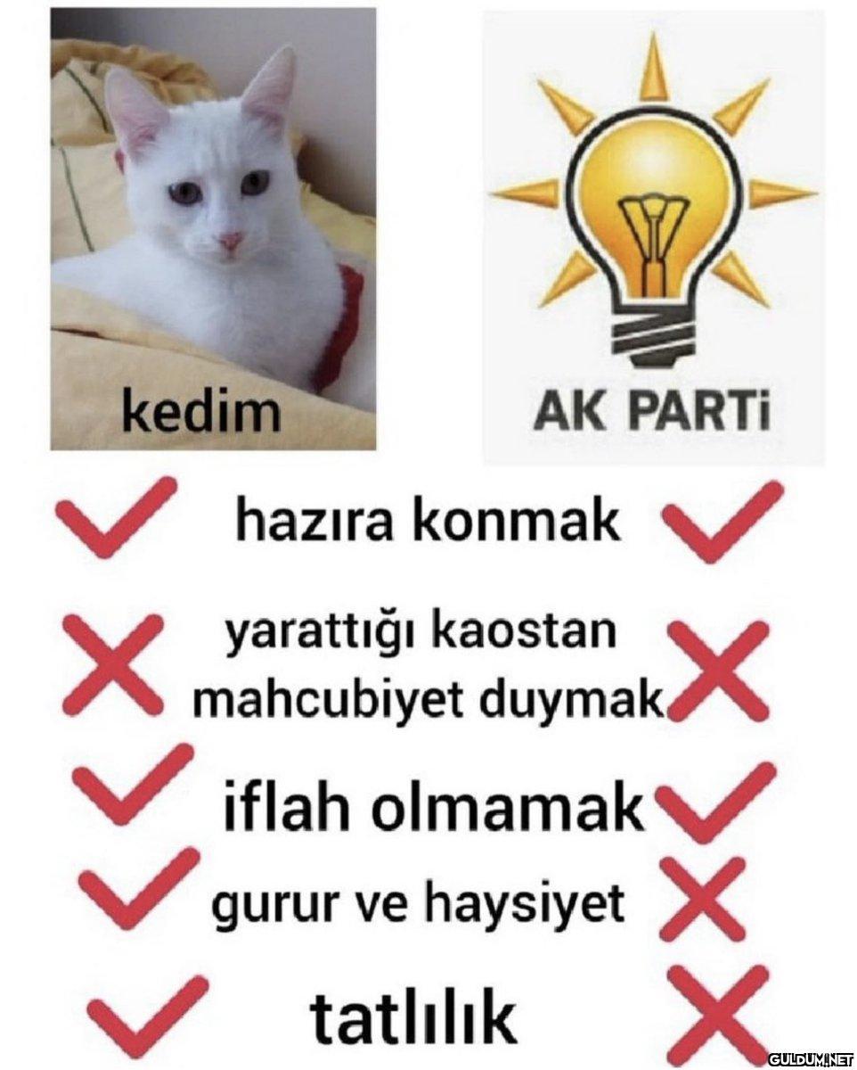 kedim Kaynak