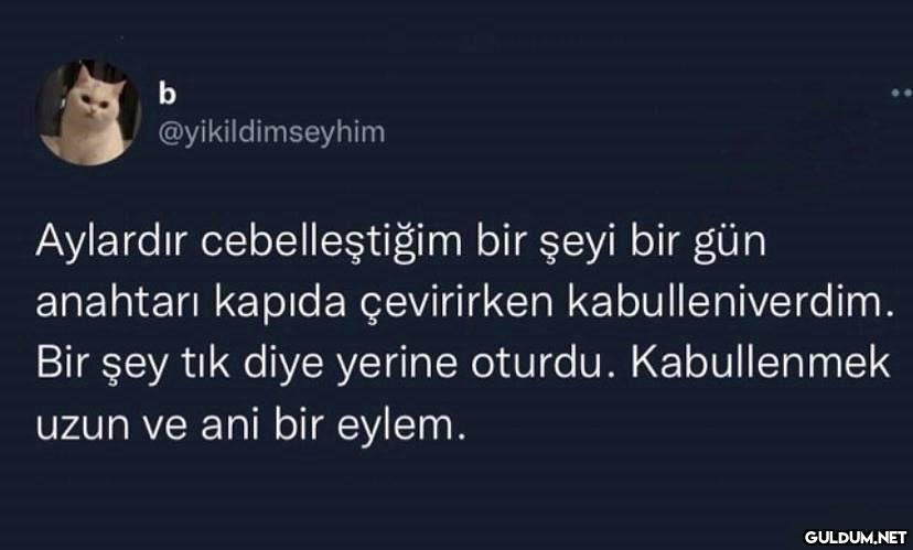https://t.co/2SBGWu7uHl  ...