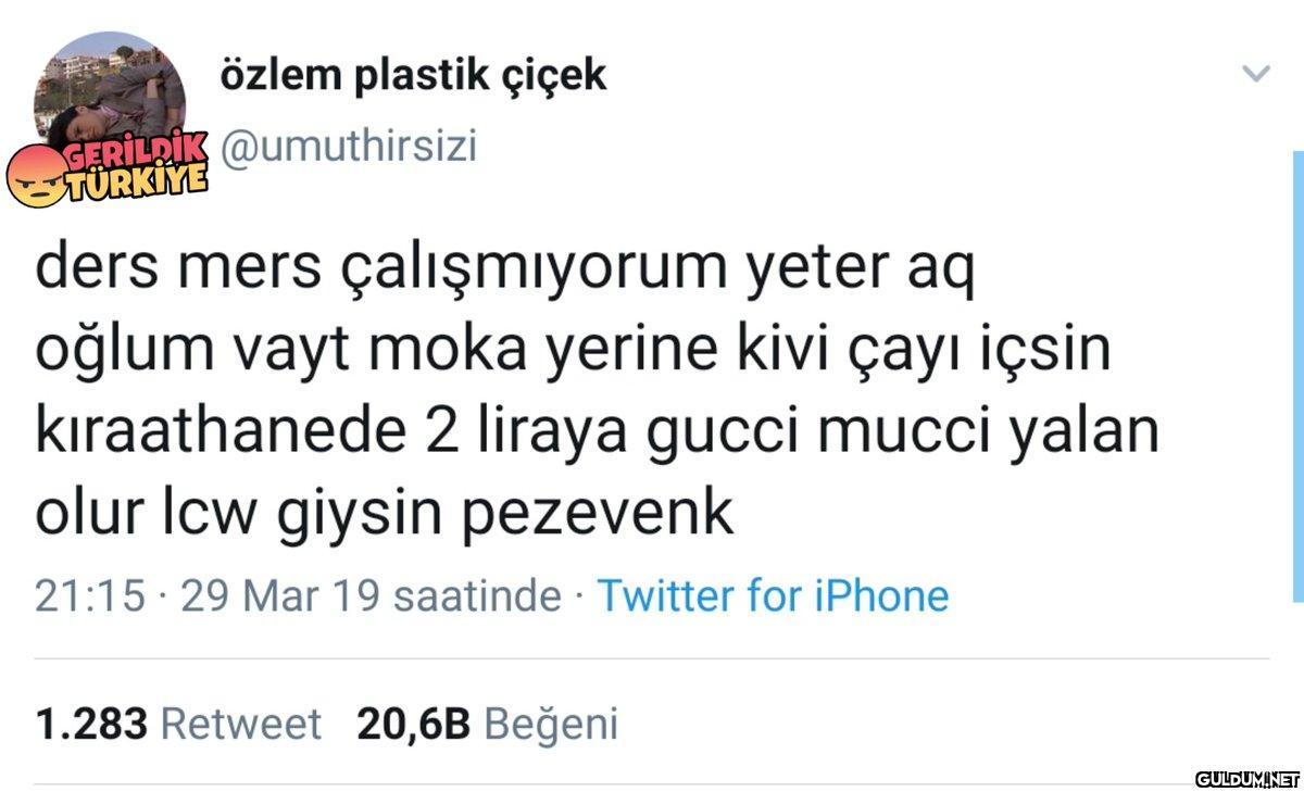 özlem plastik çiçek...