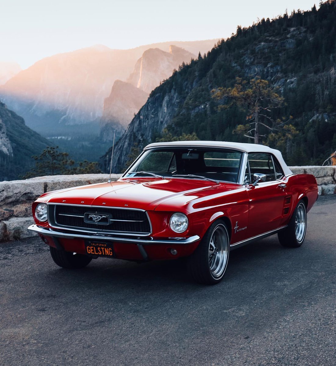 MUSTANG!...