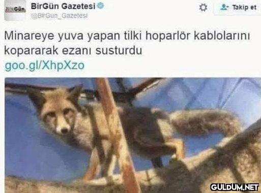 admin...