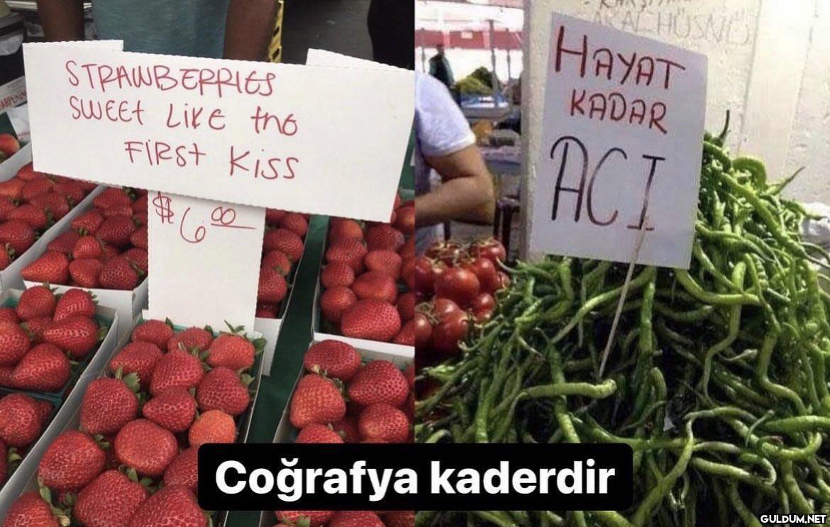 https://t.co/ivDL6KLLHp  ...