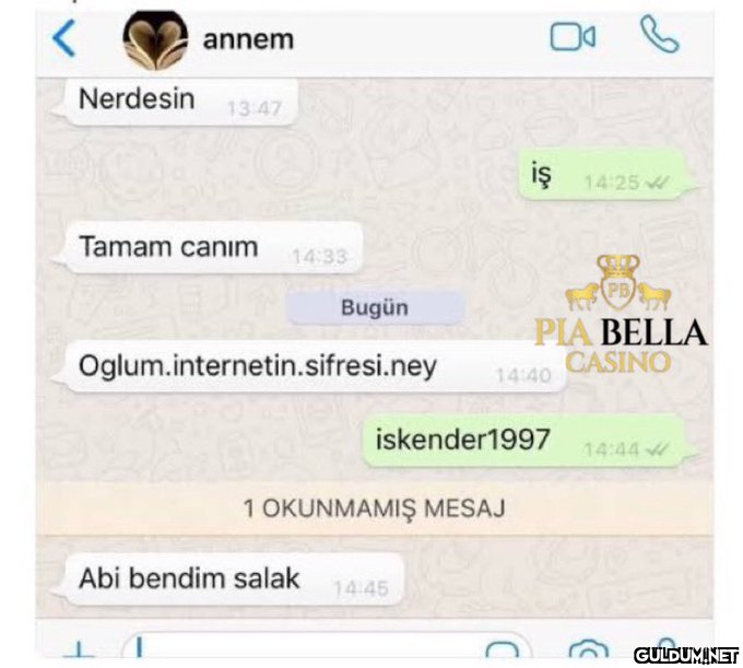 annem Nerdesin 13:47 Tamam...