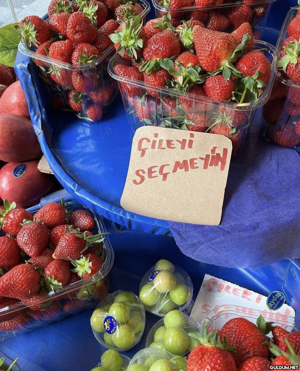 aydas organik ta anik...