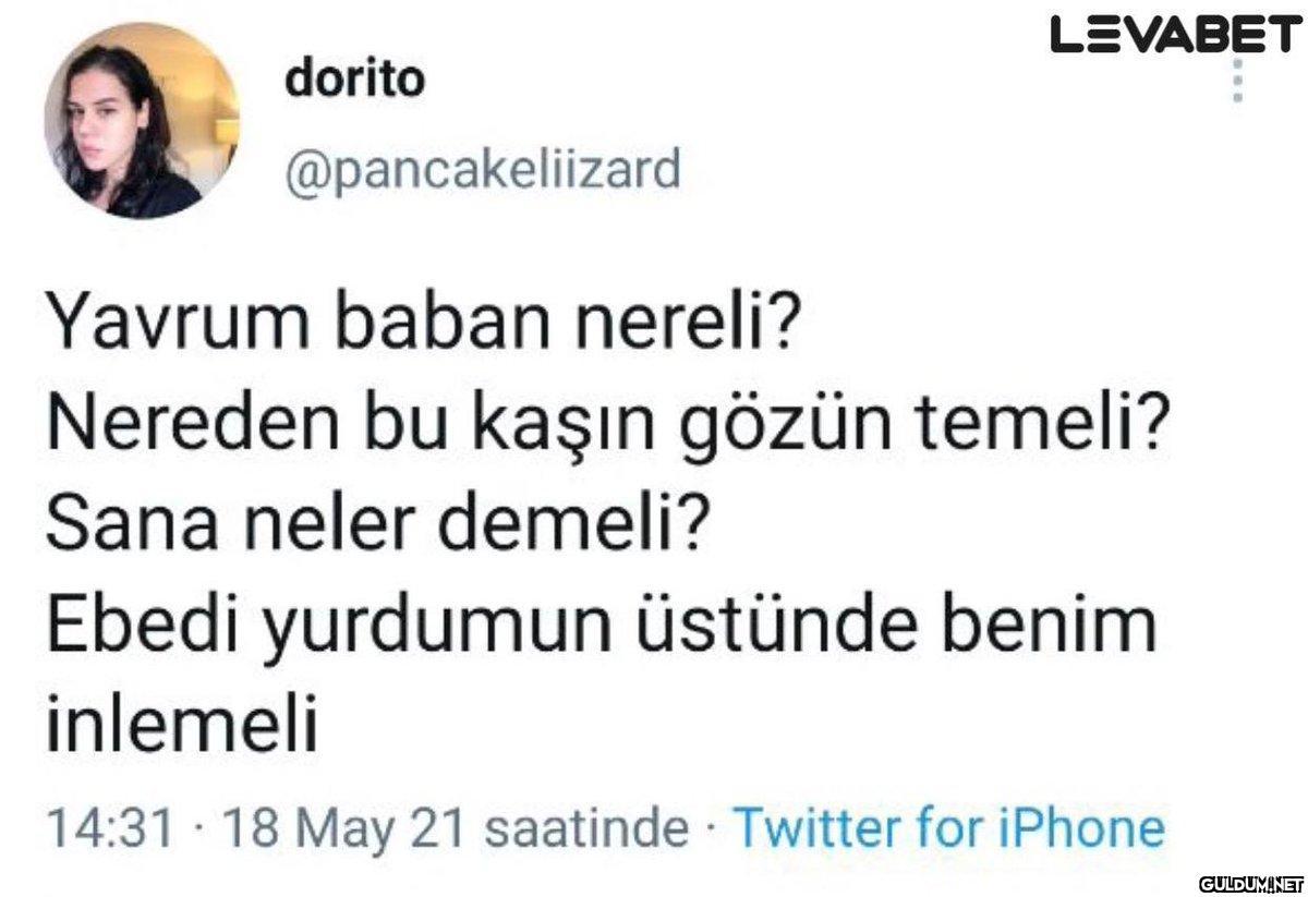 dorito LEVABET...