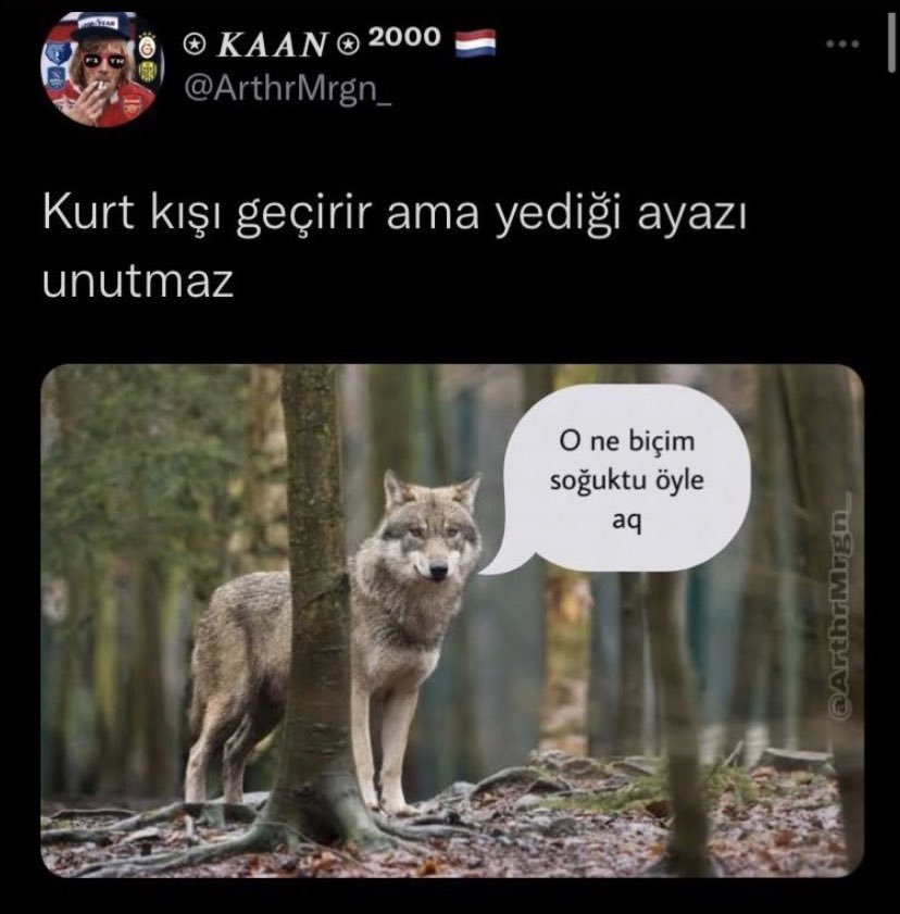 KAAN 2000 @ArthrMrgn_ Kurt...