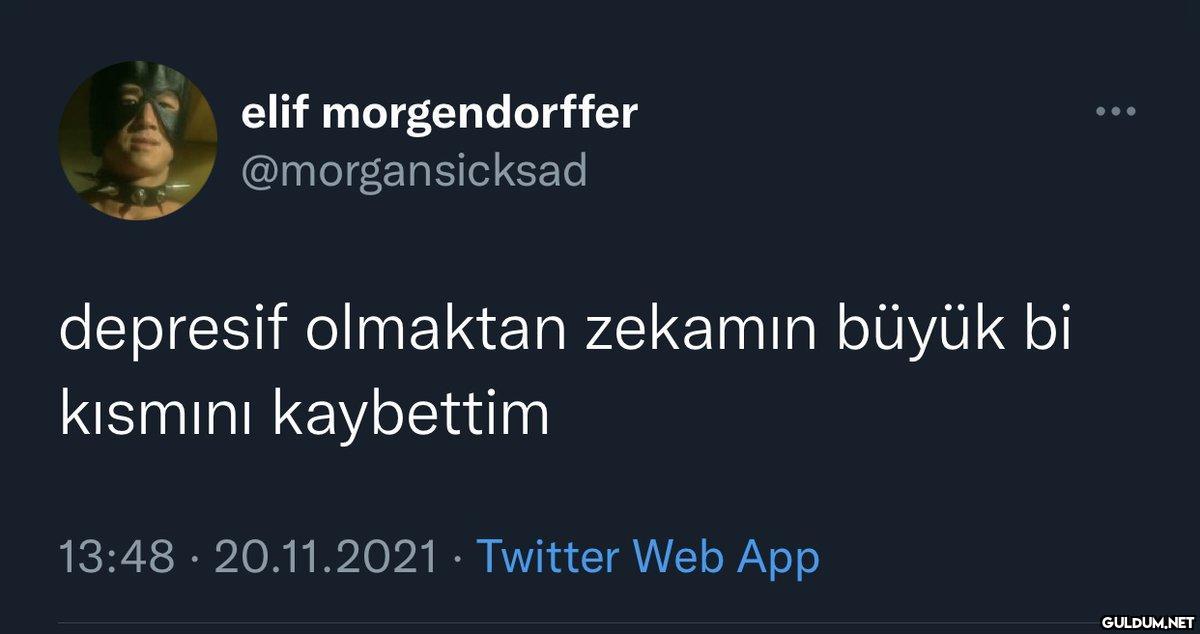 elif morgendorffer...