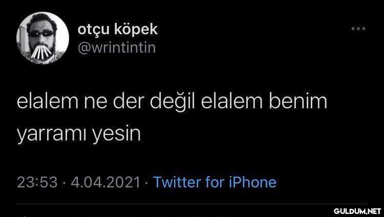 otçu köpek @wrintintin...