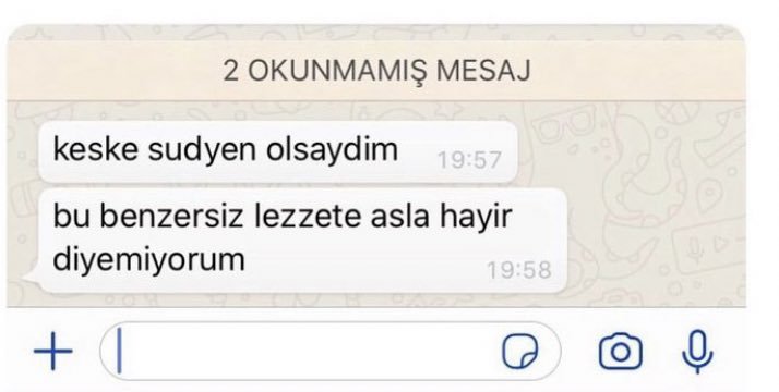 2 OKUNMAMIŞ MESAJ keske...