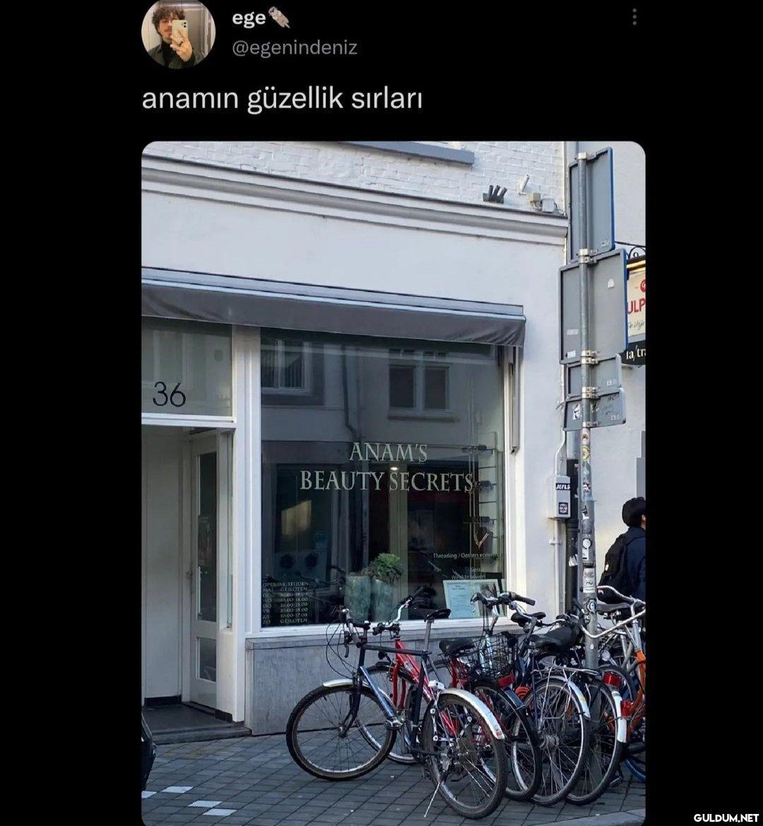 Dünyanın en iyi çevirisi...