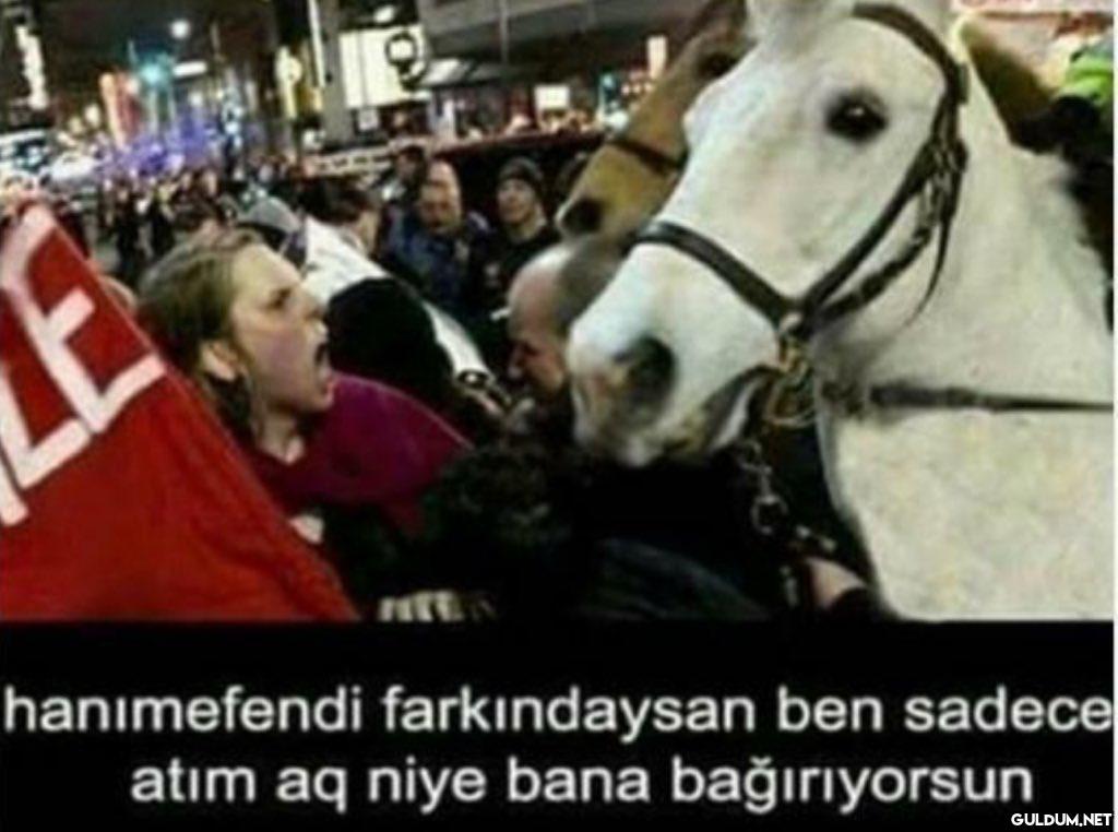 https://t.co/97lQWIeV5U  ...