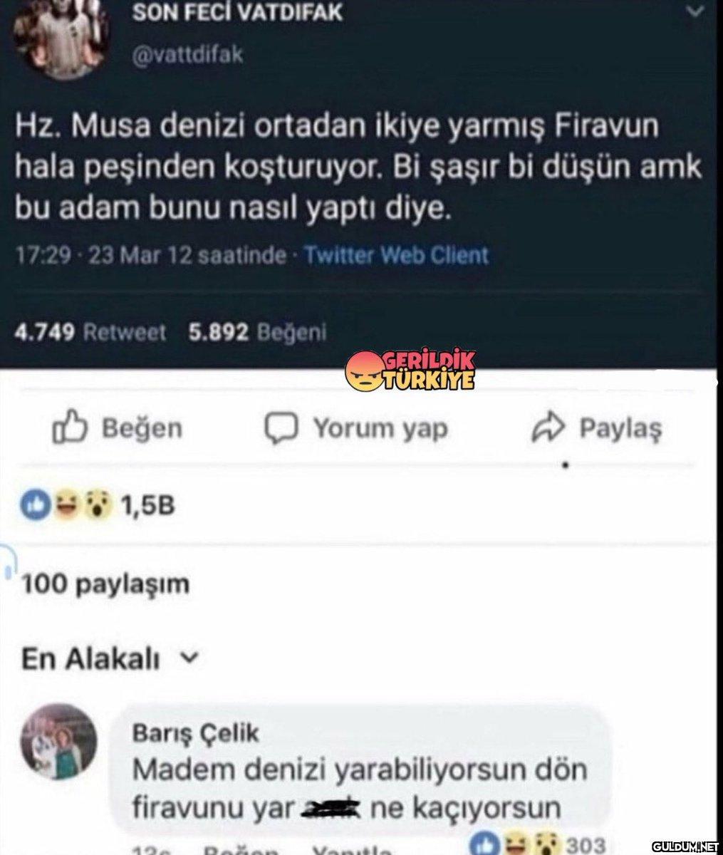SON FECÍ VATDIFAK...