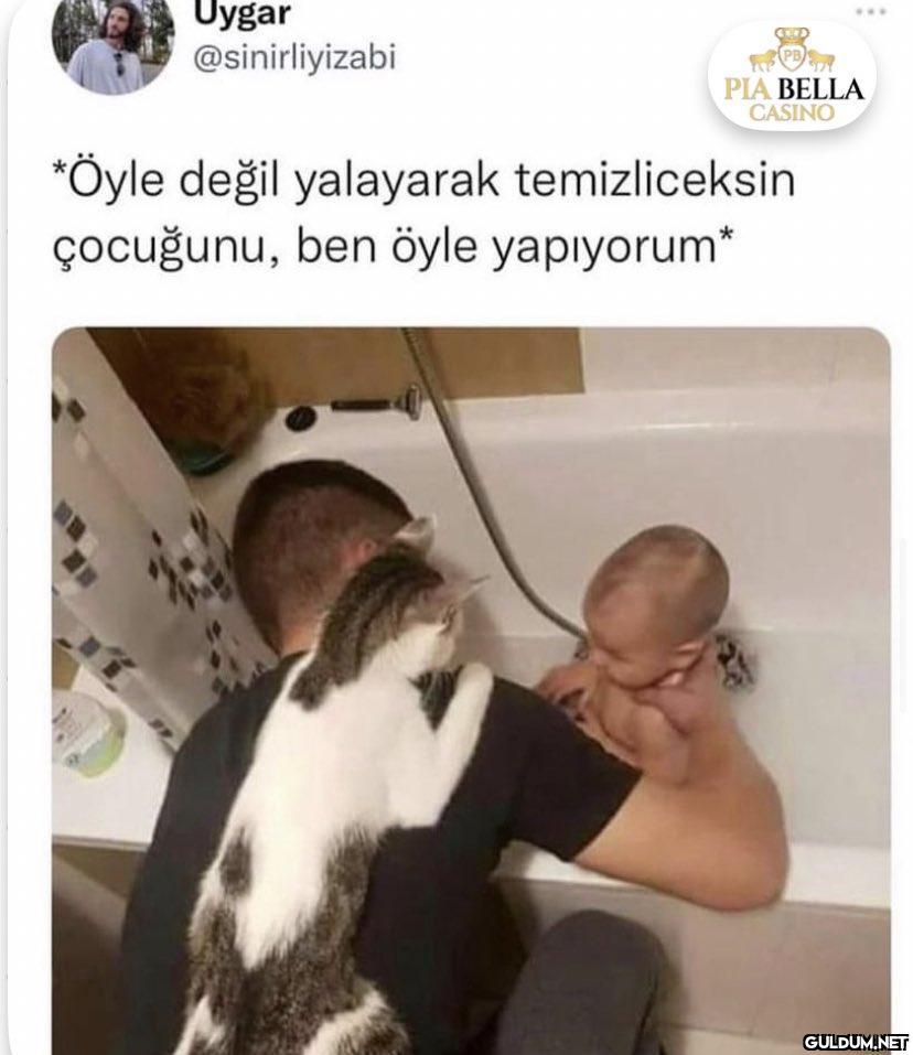 Uygar @sinirliyizabi PIA...