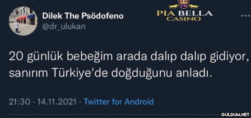 Dilek The Psödofeno...