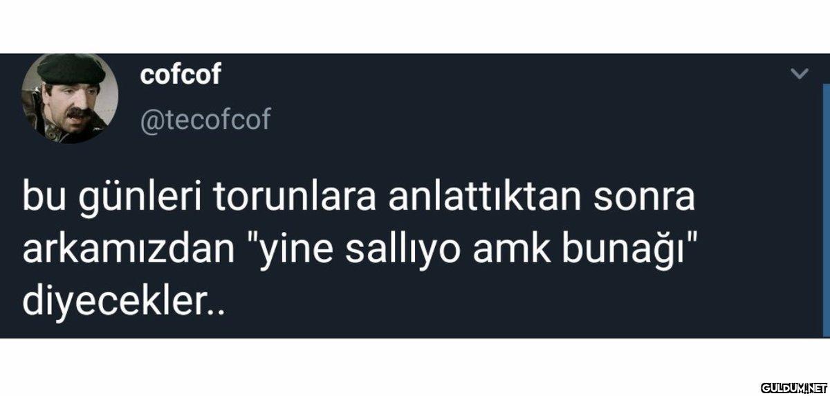 cofcof @tecofcof bu...