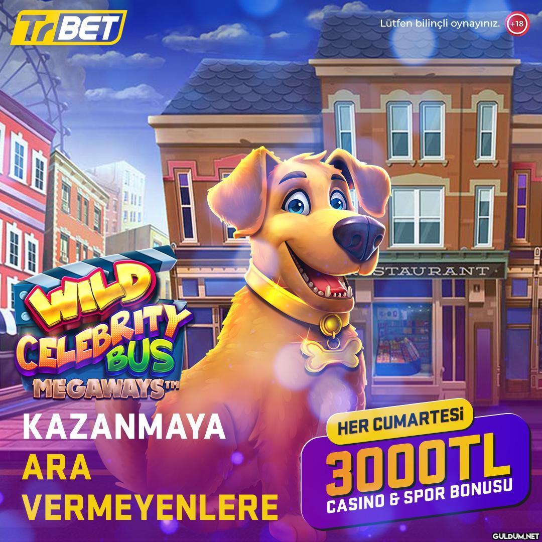 Günün Oyunu🐶Wild Celebrity...