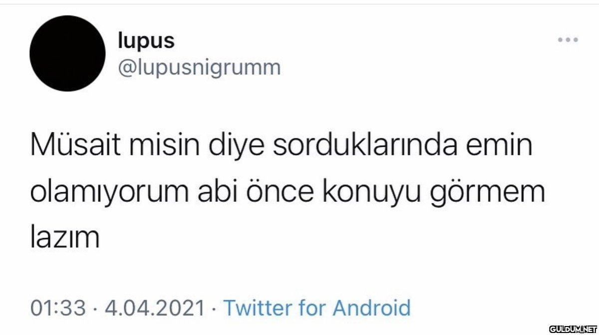 lupus @lupusnigrumm Müsait...